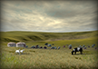 Pastýřský tábor