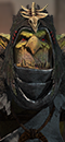 Gobliní velký šaman (Pavouk arachnarok (pavoučí svatyně síťolapka))